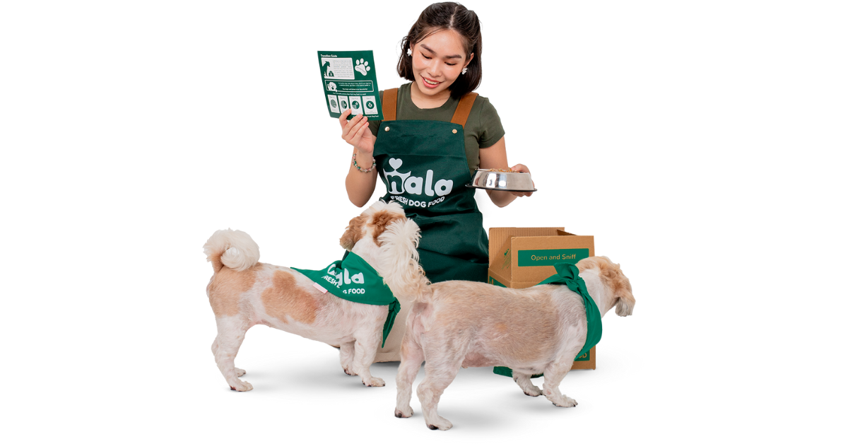 Nala Fresh Dog Food Guide: Storage, Serving, and Transition Tips