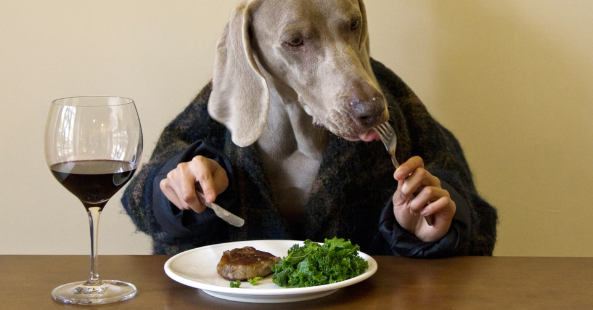 Top 12 Fresh Human Grade Foods for Dogs
