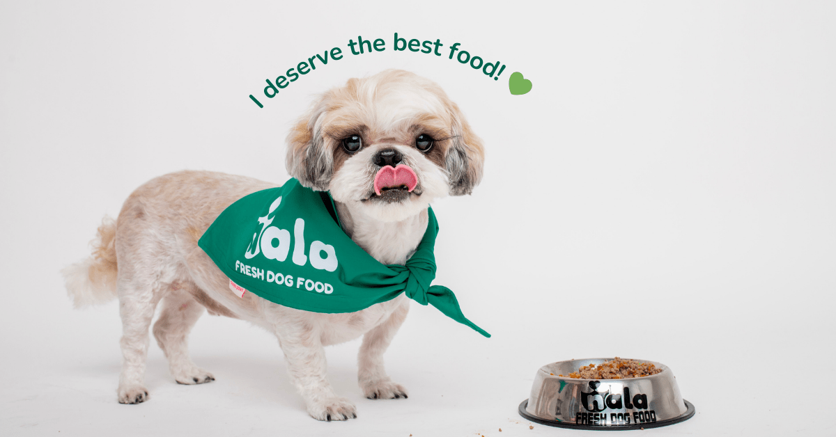 Your Dog Deserves Better Food