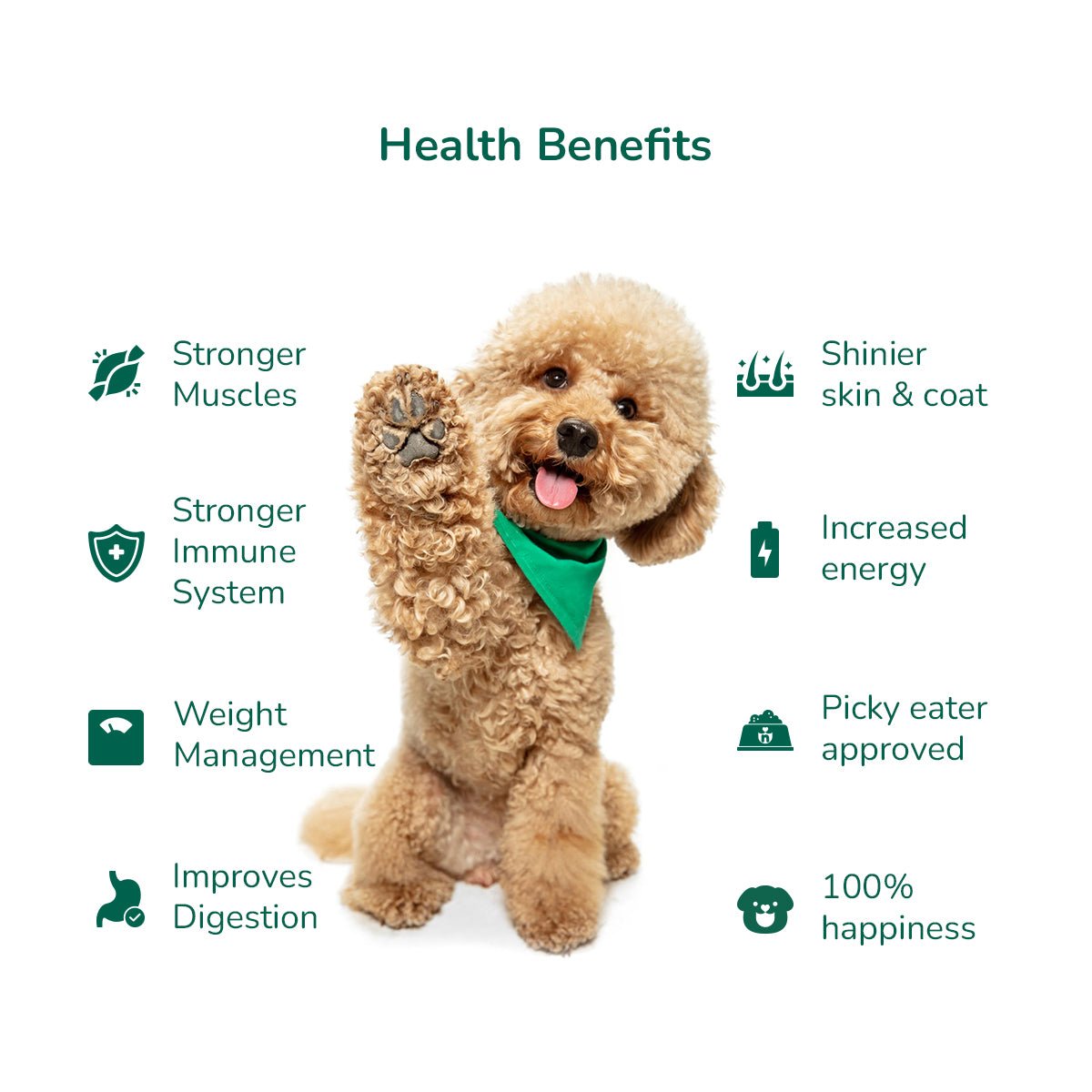 CUDDLY CHARLIE RECIPE