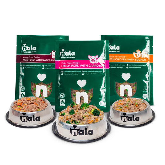 RECIPE TRIAL SELECTION